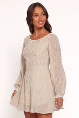 Kyra Long Sleeve Mini Dress - Stripe
