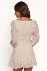 Kyra Long Sleeve Mini Dress - Stripe
