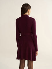 Belted Turtleneck Ribbed Knit Mini Dress