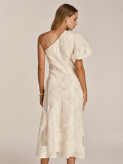 One Shoulder Textured Ruffled Mesh Midi Dress