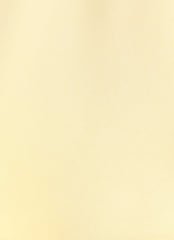 Becka Mini Dress - Yellow