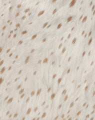 Jenat Mini Dress in Ivory Bambi Print with Scarf