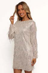 Serena Sequin Mini Dress - Nude/Silver