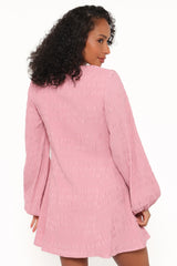 Amaya Long Sleeve Mini Dress - Pink